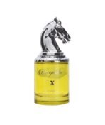 ARMAF Professional Audience Bucephalus-X Eau De Citrus Spray Parfum 100Ml| Premium Long-Lasting Fragrance| Best For Gifting Purpose| Everyday Use - Fast UK Delivery