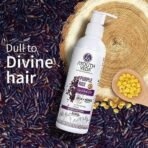 Ayouthveda Purple Rice Water & Kernel Protein Shampoo | With the Goodness of Betel Leaves & Guava Leaves | For Damage & Frizzy Hair | Helps To Restore Hair Texture (Pack of 2; 200ml each) - Fast UK Delivery - Image 3