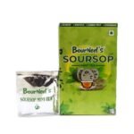 BourNeel's Soursop Mint Tea Box (25 Bags)|Dipping Tea Bags | Combination of Dry Soursop Leaves & Mint Leaves| No Preservatives | Graviola Laxman Phal Dry Leaves | High Vitamin C |Soursop Mint Kadha Tea | - Fast UK Delivery