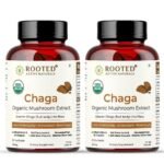 Rooted Actives Siberian Chaga Mushroom Capsules (60 Caps, 500 Mg) | Blood Sugar, Heart & Immunity | Usda Organic | 35% Beta Glucans | Pack Of 2 - Fast UK Delivery