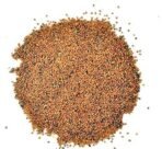 R R AGRO FOODS 100% Natural Taramira Seeds 500 GM | Tarameera Seed | Eruca Sativa | Sarishapa | Rocket Seeds | Pack of 1 - Fast UK Delivery - Image 4