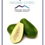 Mystique Hills Raw Green Papaya Fruit Powder100 g