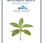 Mystique Hills Loquat Leaves Extract (50 g)
