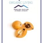 Mystique Hills Loquat Fruit Powder, 100 g