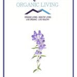 Mystique Hills Organic Blue Skullcap Powder 50 g