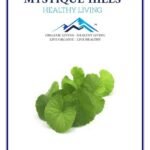 Mystique Hills Organic Brahmi Herbal Powder (200 Gram)