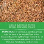 R R AGRO FOODS 100% Natural Taramira Seeds 500 GM | Tarameera Seed | Eruca Sativa | Sarishapa | Rocket Seeds | Pack of 1 - Fast UK Delivery - Image 7