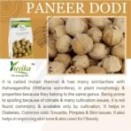 YUVIKA Paneer Dodi - Paneer Ke Phool - Withania Coagulan 250 Grams Pack of 2 Boxes - Fast UK Delivery - Image 4