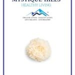 Mystique Hills Snow Fungus Extract (50 g)