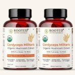 Rooted Active Naturals Organic Cordyceps Militaris Mushroom Extract Capsules, 500mg, 60 Count, Energy, Endurance, Performance (Pack of 2) - Fast UK Delivery