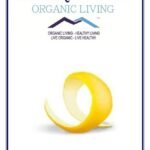 Mystique Hills Organic Lemon Peel Powder,200 g