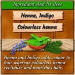 INDUS VALLEY 100% Organic Henna Hair Color (Soft Black)-100 g Pack of 1 - Fast UK Delivery - Image 7