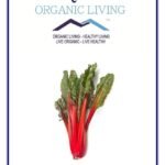 Mystique Hills Turkish Rhubarb Root Powder 50 g