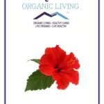 Mystique Hills Organic Shade Dried Hibiscus Flower Herbal Tea Powder,100 g - Fast UK Delivery