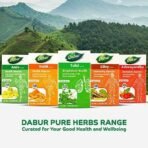 DABUR Tulsi Tablets - Respiratory Health | Boosts Immunity | Provides Relief in Cough & Cold - 60 + 20 Tablets Free (Pack of 2) - Fast UK Delivery - Image 7