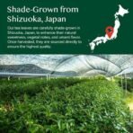 VAHDAM, Matcha Green Tea Powder, 50 g 100% Pure Japanese Matcha Green | Matcha Tea Sourced from Shizuoka, Japan | Classic Culinary Grade Matcha for Smoothies, Latte - Fast UK Delivery - Image 3