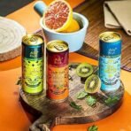 Alo Frut Mint Mojito 250 ml Pack of 12 | India's First Party Drink | Taste The Natural Fizz | Enriched With Aloevera | No Artificial Colours | No Artificial Flavors - Fast UK Delivery - Image 5