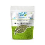Natureland Organics Fennel (Saunf) 100 gm - Organic Saunf - Fast UK Delivery