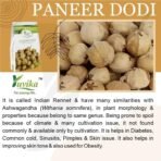 YUVIKA Paneer Dodi Powder - Paneer Doda Powder - Withania Coagulans (100 Grams) - Fast UK Delivery - Image 3