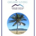 Mystique Hills Organic Coconut Sugar, 1 Kg