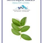 Mystique Hills Guava Leaf Tea (100 g) - Fast UK Delivery