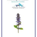 Mystique Hills Bugleweed Powder (50 g)