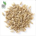 R R AGRO FOODS RR Agro Foods 100% Naturally Grown Raw Barley (Jou, Jai, Yav) (10 KG) - Fast UK Delivery