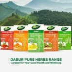 DABUR Amla Tablet - Health Booster | Rich in Antioxidants | Provides Protection against Infections | Pure herbs 60 tabs ( Get 20 tabs free) - Fast UK Delivery - Image 7