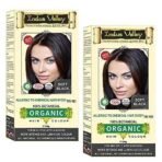 INDUS VALLEY 100% Certified Organic Hair Colour (Soft Black) - (120g*2=240g) - Fast UK Delivery - Image 2