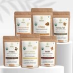 Rooted Active Organic Mushroom Extract Sample Packs, 8g each - Cordyceps Militaris, Chaga, Turkey Tail, Shiitake, Lion's Mane, Reishi - Fast UK Delivery