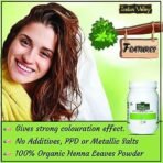 INDUS VALLEY 100% Organic Henna Leaf Powder Jar - Set of 2 (500g*2=1000g) - Fast UK Delivery - Image 5