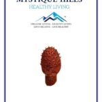 Mystique Hills Cynomorium Powder (100 g)