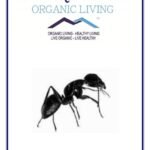 Mystique Hills Black Ant Extract, 50 g
