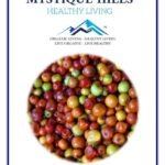 Mystique Hills Indian Ber Fruit Preserve, Jujube (500 g)
