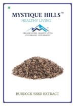 Mystique Hills Burdock Seed Extract (50 g)
