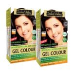 INDUS VALLEY Damage Free Natural Gel Hair Colour for Women | Ammonia & PPD Free Organic Hair Colour with 100% Grey Coverage, Long Lasting Conditioning Hair Color | Dark Brown 3.00 - Pack of 2 (2x220 = 400 ml) - Fast UK Delivery