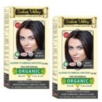 INDUS VALLEY 100% Certified Organic Hair Colour (Soft Black) - (120g*2=240g) - Fast UK Delivery