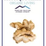 Mystique Hills Organic Sonth, Dry Ginger,100 g