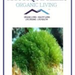 Mystique Hills Organic Sun Dried spirulina Powder 250 g