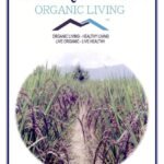 Mystique Hills Black Rice, 2 Kg