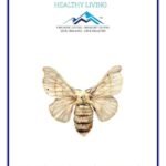 Mystique Hills Male Silkworm Moth Extract (100 g)