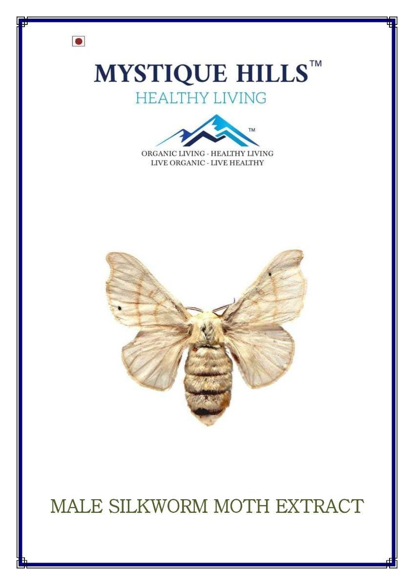 uk71BAlepRtBL-1.jpg Mystique Hills Male Silkworm Moth Extract (100 g) - Image 1