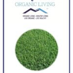 Mystique Hills Organic Bermuda Grass Powder, 200 g