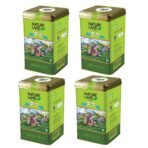 Natureland Organics Green Tea 200 gm, 100% Organic Loose Leaf Tea (Pack of 4) - Fast UK Delivery