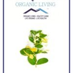 Mystique Hills Honeysuckle Flower Tea, 50 g - Fast UK Delivery
