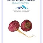 Mystique Hills Red Maca Root Powder 50 g