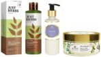 Just Herbs Hair Care & Hair Growth Combo With Conditoner For Normal Hair, Shampoo & Hair Mask, 3 count (Neem and Alma) - Fast UK Delivery