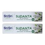 Sri Sri TATTVA shuddhta ka naam Sudanta Herbal Gel Toothpaste - All Natural, SLS Free, Fluoride Free Tooth Paste with Charcoal, Salt & More - 100g (Pack of 2), for Kids and Adults - Fast UK Delivery