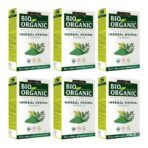INDUS VALLEY 100% Certified Organic Herbal Henna Powder, 100g each (Pack of 6) - Green - Fast UK Delivery