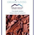 Mystique Hills Organic Red Sandalwood Powder,100 g